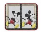 ディズニーフェンス　カラー新日軽