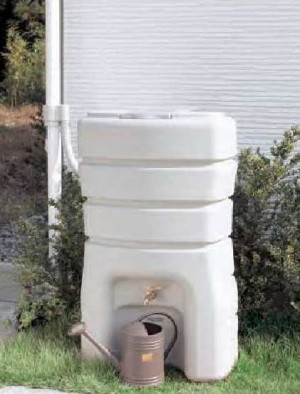 Rain stocker283