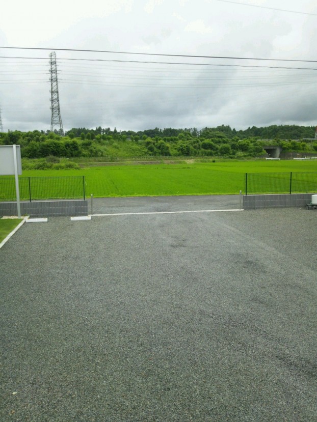 kesikihamidori
