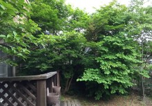 水戸市K様邸before3